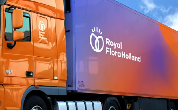 Royal Flora Holland 鮮花花卉種植合作社品牌VI設(shè)計(jì)-上海VI設(shè)計(jì)公司