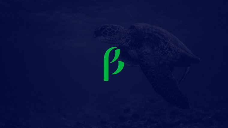 生物學(xué)社會組織“Dr. Sava Petrovic博士”品牌視覺識別VI設(shè)計-logo設(shè)計-上海VI設(shè)計公司