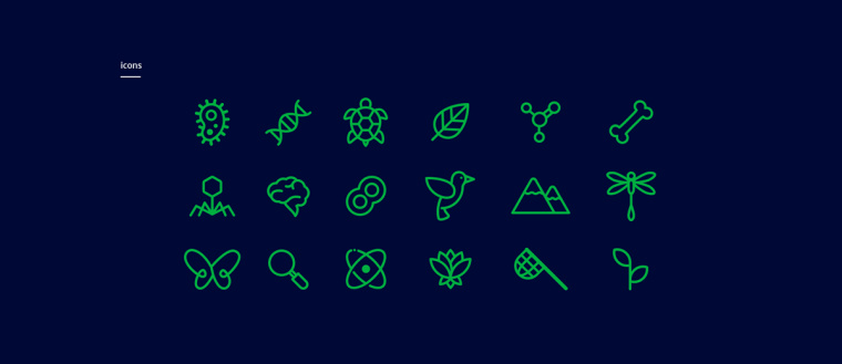 生物學(xué)社會組織“Dr. Sava Petrovic博士”品牌視覺識別VI設(shè)計-上海VI設(shè)計公司