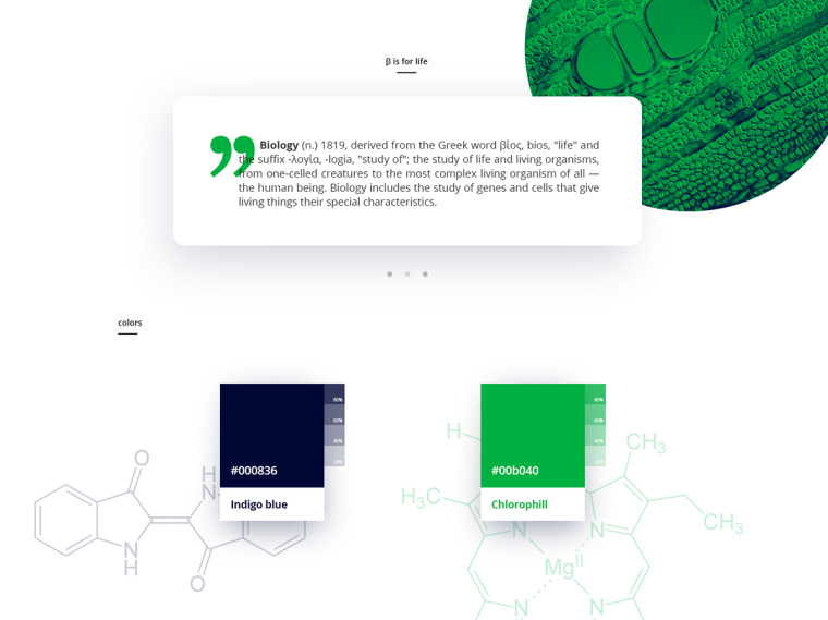 生物學(xué)社會組織“Dr. Sava Petrovic博士”品牌視覺識別VI設(shè)計-上海VI設(shè)計公司