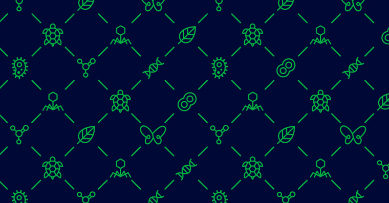 生物學(xué)社會組織“Dr. Sava Petrovic博士”品牌視覺識別VI設(shè)計-上海VI設(shè)計公司