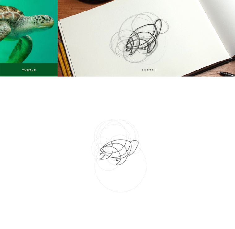 上海logo設(shè)計公司分享：基于幾何圓形創(chuàng)作設(shè)計的美麗動物標(biāo)識logo-烏龜logo
