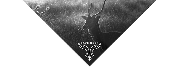 拯救野生鹿群動(dòng)物公益品牌VI形象設(shè)計(jì)-上海品牌VI設(shè)計(jì)公司 拯救野生鹿群動(dòng)物公益品牌VI形象設(shè)計(jì)-上海品牌VI設(shè)計(jì)公司