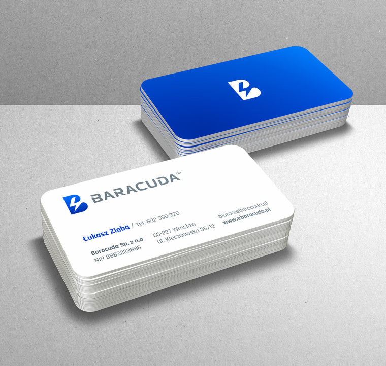 Baracuda Sp工業(yè)服務(wù)品牌形象設(shè)計(jì)-VI設(shè)計(jì)--上海品牌VI設(shè)計(jì)公司