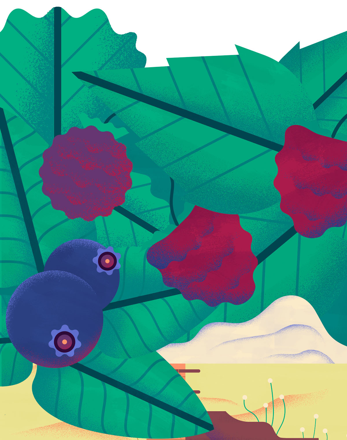 上海品牌設(shè)計(jì)公司欣賞：Maravilha農(nóng)場(chǎng)農(nóng)業(yè)種植插畫設(shè)計(jì)