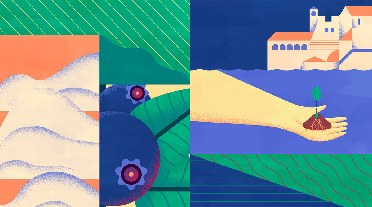 上海品牌設(shè)計(jì)公司欣賞：Maravilha農(nóng)場(chǎng)農(nóng)業(yè)種植插畫設(shè)計(jì)