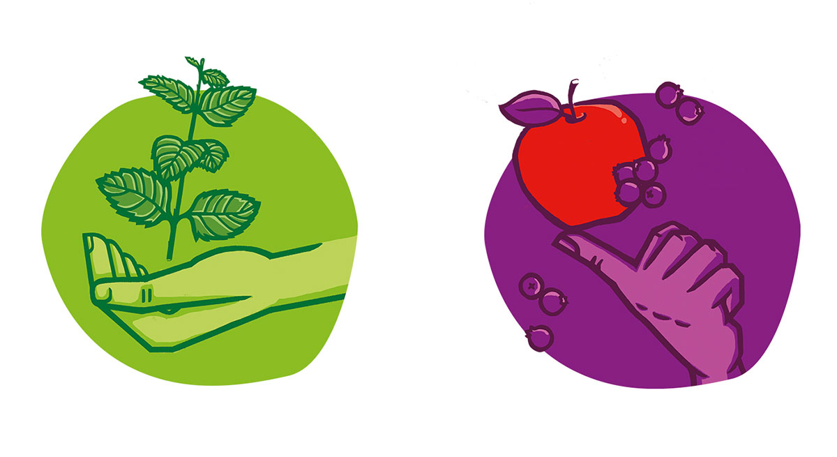 Korzen 健康果汁包裝設(shè)計插畫設(shè)計欣賞-上海包裝設(shè)計公司