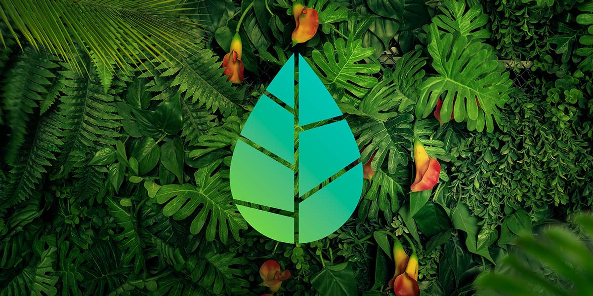 Amazonia 亞馬遜飲料葉子logo-上海logo設(shè)計(jì)公司