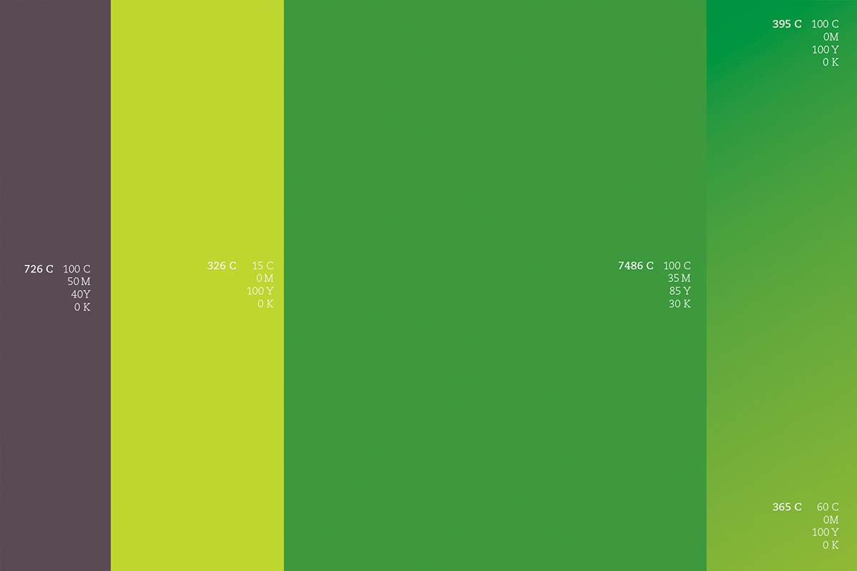 Bagisa 農業(yè)品牌形象更新設計