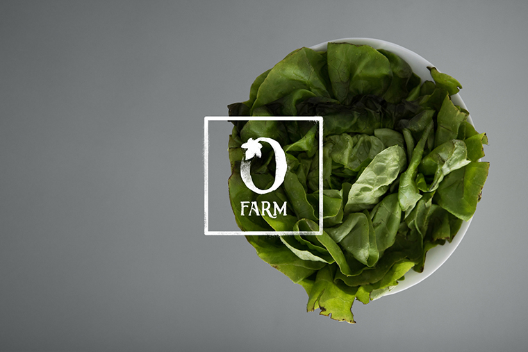 Olivette 農(nóng)場品牌形象設(shè)計標志設(shè)計