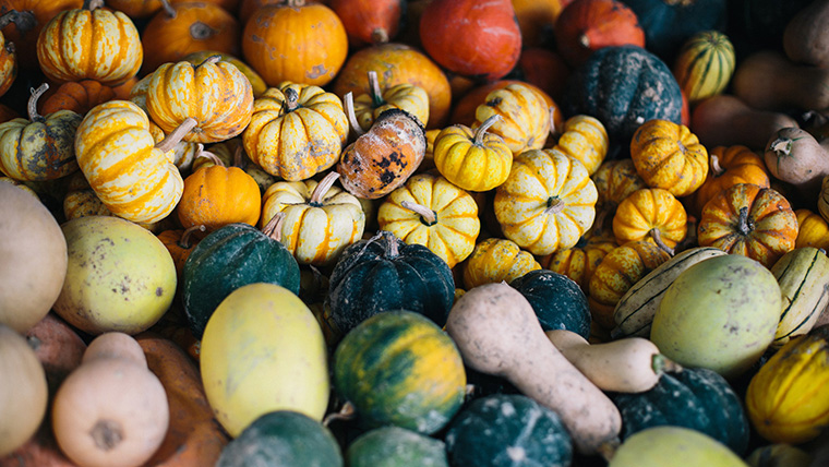 Olivette 農(nóng)場品牌形象設(shè)計-上海農(nóng)業(yè)品牌策劃設(shè)計公司