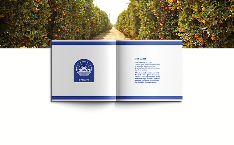 Sunkist 水果品牌logo設(shè)計(jì)VI設(shè)計(jì)-上海logo設(shè)計(jì)VI設(shè)計(jì)公司