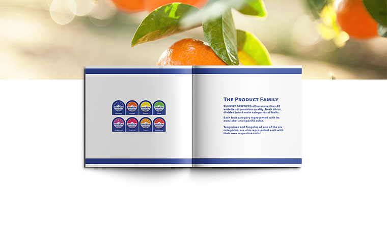 Sunkist 水果品牌logo設(shè)計(jì)VI設(shè)計(jì)-上海logo設(shè)計(jì)VI設(shè)計(jì)公司