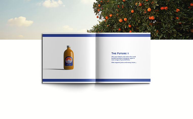 Sunkist 水果品牌logo設(shè)計(jì)VI設(shè)計(jì)-上海logo設(shè)計(jì)VI設(shè)計(jì)公司