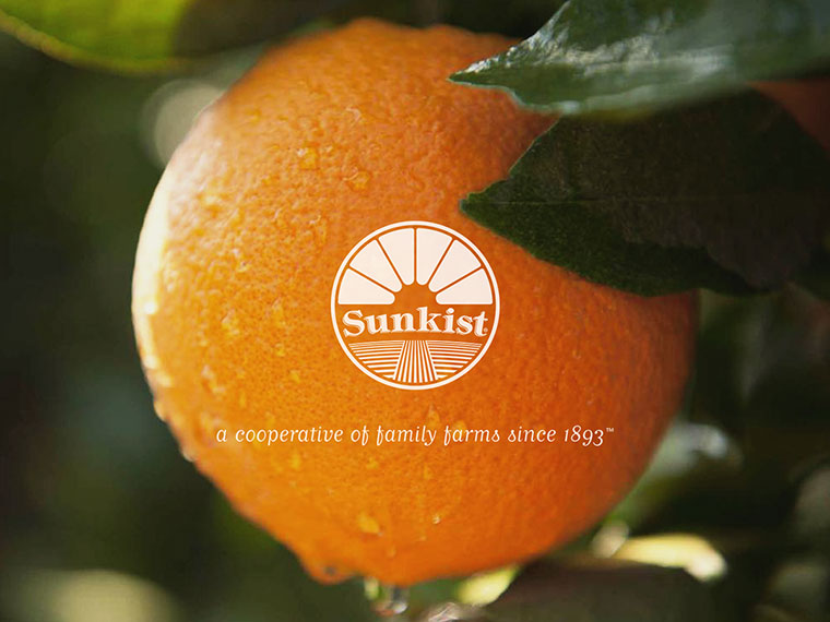 Sunkist 水果品牌logo設(shè)計(jì)VI設(shè)計(jì)-上海logo設(shè)計(jì)VI設(shè)計(jì)公司