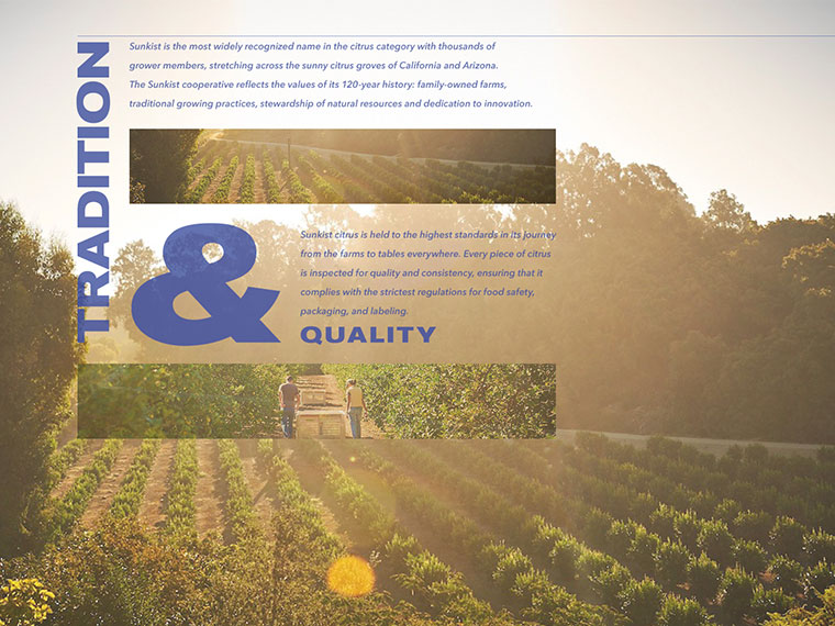 Sunkist 水果品牌logo設(shè)計(jì)VI設(shè)計(jì)-上海logo設(shè)計(jì)VI設(shè)計(jì)公司