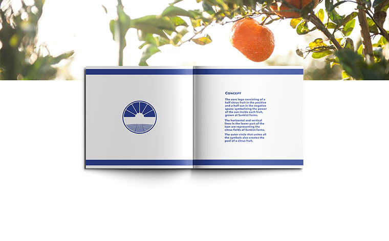 Sunkist 水果品牌logo設(shè)計(jì)VI設(shè)計(jì)-上海logo設(shè)計(jì)VI設(shè)計(jì)公司