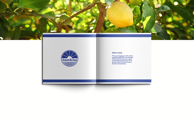 Sunkist 水果品牌logo設(shè)計(jì)VI設(shè)計(jì)-上海logo設(shè)計(jì)VI設(shè)計(jì)公司