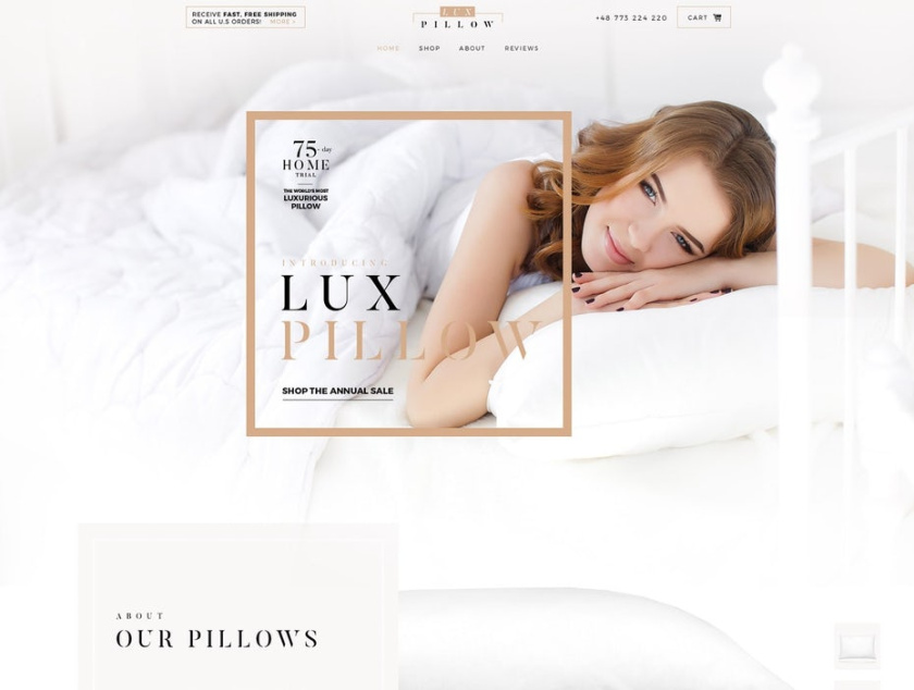優(yōu)秀電商網(wǎng)站設(shè)計(jì)的11個(gè)重要提示-讓它看起來很專業(yè)-枕頭電商網(wǎng)站設(shè)計(jì)