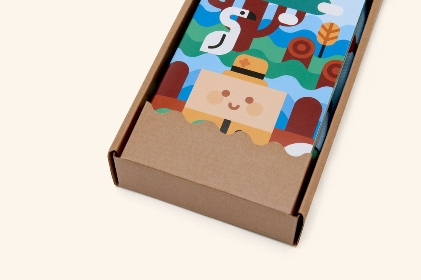 玩具積木包裝設(shè)計(jì)