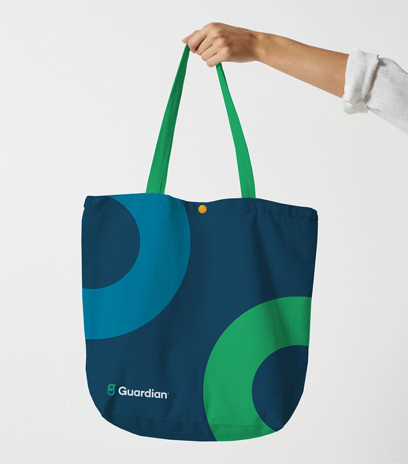 衛(wèi)士人壽保險(xiǎn)公司logo設(shè)計(jì)vi設(shè)計(jì)-布袋設(shè)計(jì)