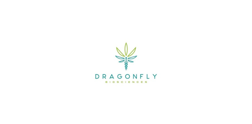 Dragonfly Sciences健康/制藥公司標志設(shè)計