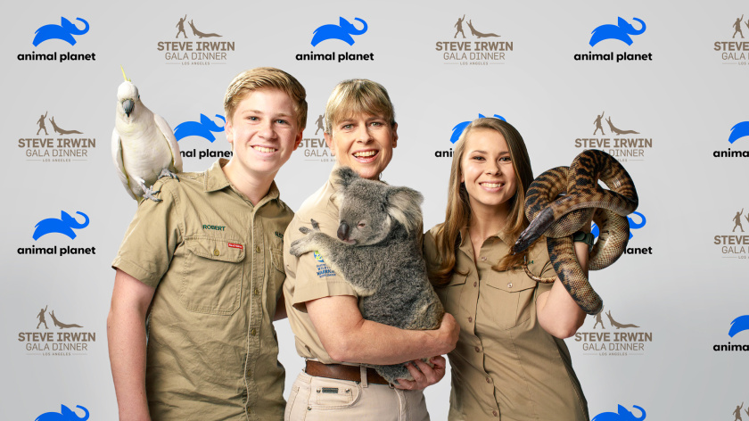 Haviv的動物星球電視頻道新logo設(shè)計，與地球同在的大象