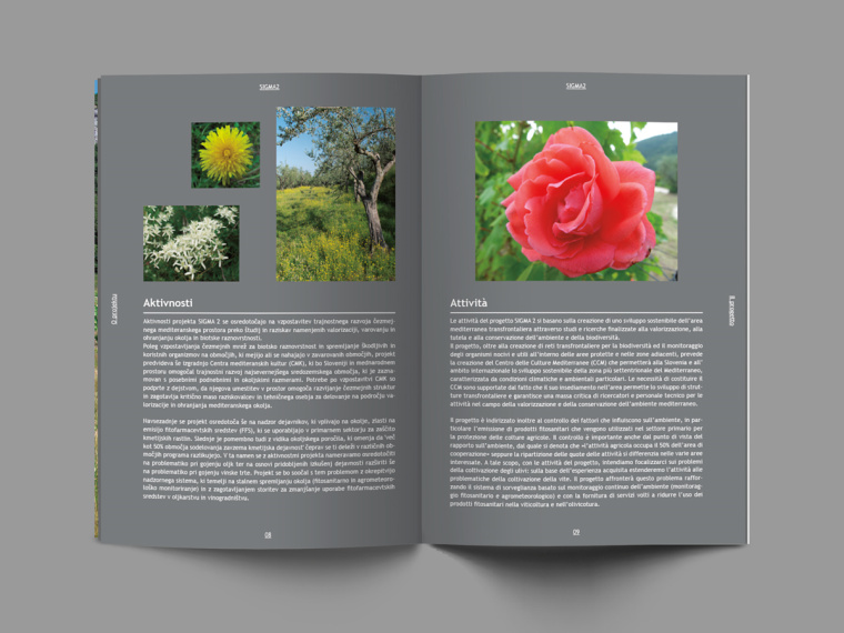 SIGMA2—Brochure畫冊設計-上海畫冊設計公司-尚略廣告