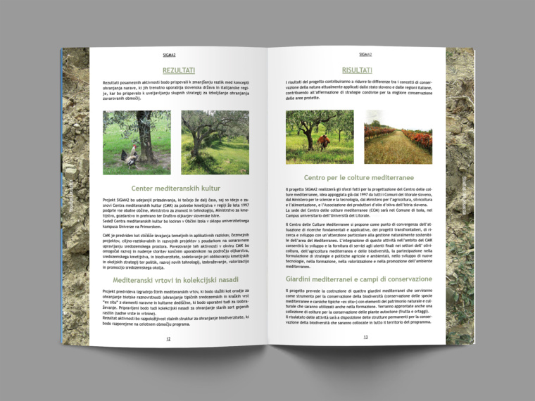 SIGMA2環(huán)境與生物多樣性環(huán)保宣傳冊設計-上海畫冊設計公司-尚略廣告