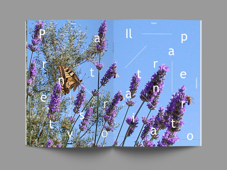 SIGMA2環(huán)境與生物多樣性環(huán)保宣傳冊設計-上海畫冊設計公司-尚略廣告