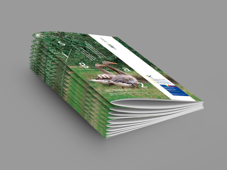 SIGMA2環(huán)境與生物多樣性環(huán)保宣傳冊設計-上海畫冊設計公司-尚略廣告