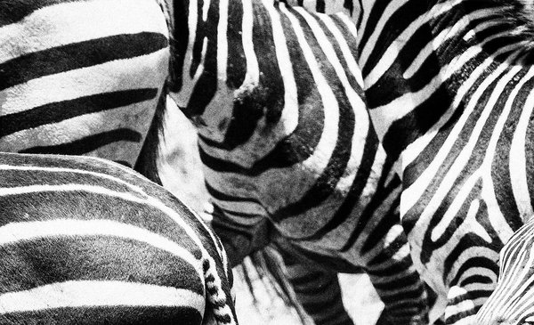 實(shí)現(xiàn)品牌差異化-上海尚略品牌策劃公司營(yíng)銷新知