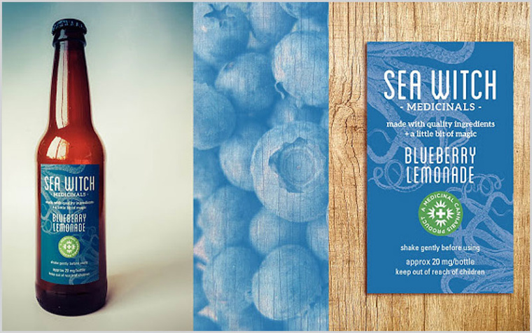 海女巫藥物設(shè)計(jì)