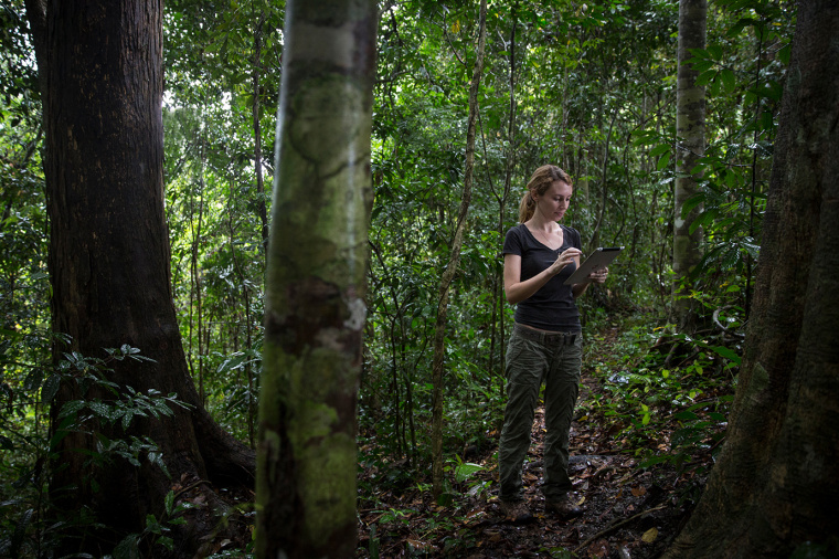 倫敦衛(wèi)生與熱帶醫(yī)學(xué)院大學(xué)品牌形象設(shè)計(jì) 倫敦衛(wèi)生與熱帶醫(yī)學(xué)院大學(xué)品牌形象設(shè)計(jì)