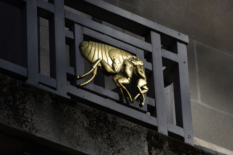 倫敦衛(wèi)生與熱帶醫(yī)學(xué)院大學(xué)品牌形象設(shè)計(jì) 倫敦衛(wèi)生與熱帶醫(yī)學(xué)院大學(xué)品牌形象設(shè)計(jì)