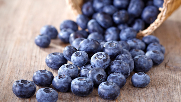 Vita Tiens 能量棒包裝設計，爆炸能量和活力主題設計