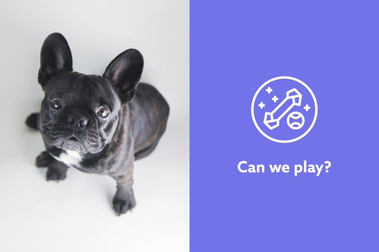 Barkyn 狗糧寵物食品品牌形象設(shè)計(jì)-logo設(shè)計(jì)包裝設(shè)計(jì)，淡雅溫馨風(fēng)格展現(xiàn)寵物之愛(ài)