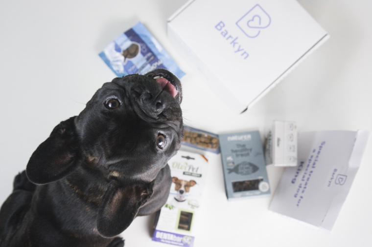 Barkyn 狗糧寵物食品品牌形象設(shè)計(jì)-logo設(shè)計(jì)包裝設(shè)計(jì)，淡雅溫馨風(fēng)格展現(xiàn)寵物之愛(ài)