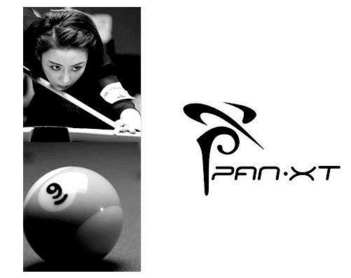 潘曉婷+九球 世界冠軍潘曉婷logo設(shè)計