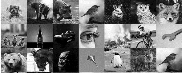 六位數(shù)花費的LOGO設(shè)計，關(guān)鍵在于多個元素的創(chuàng)意結(jié)合