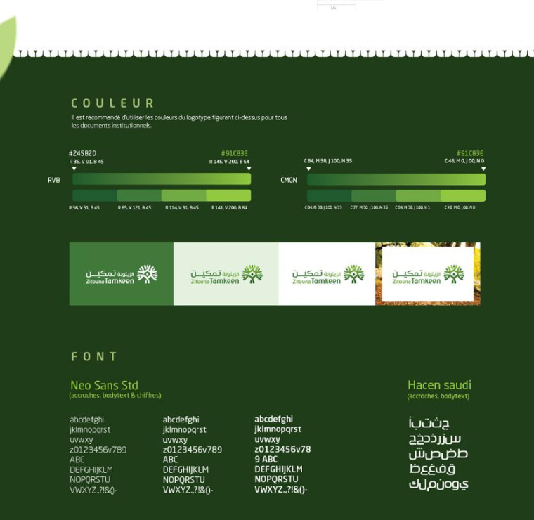 Zitouna橄欖油生產企業(yè)logo設計vi設計，橄欖樹、蠟燭、人與幾何圖形的結合