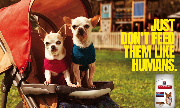 Hill’s寵物食品擬人化平面創(chuàng)意廣告設(shè)計(jì)“不要像人類一樣喂養(yǎng)它們”