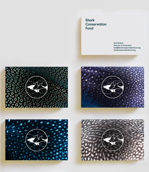 LDF鯊魚動(dòng)物保護(hù)基金會(huì)標(biāo)志設(shè)計(jì)