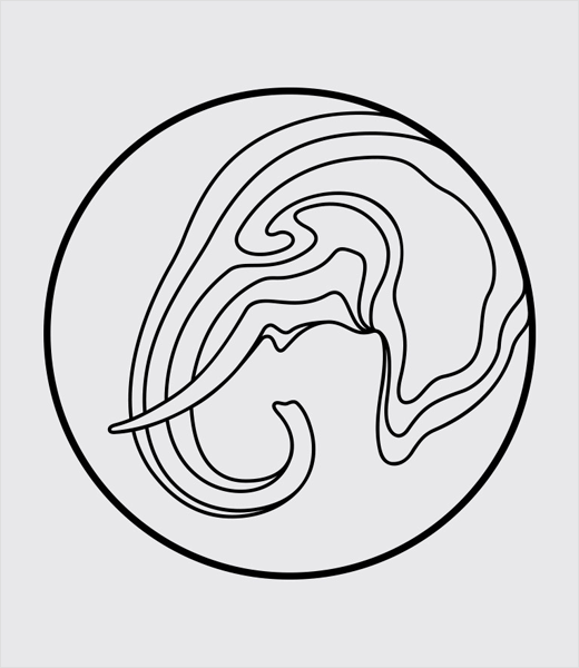 LDF大象動(dòng)物保護(hù)基金會(huì)標(biāo)志設(shè)計(jì)