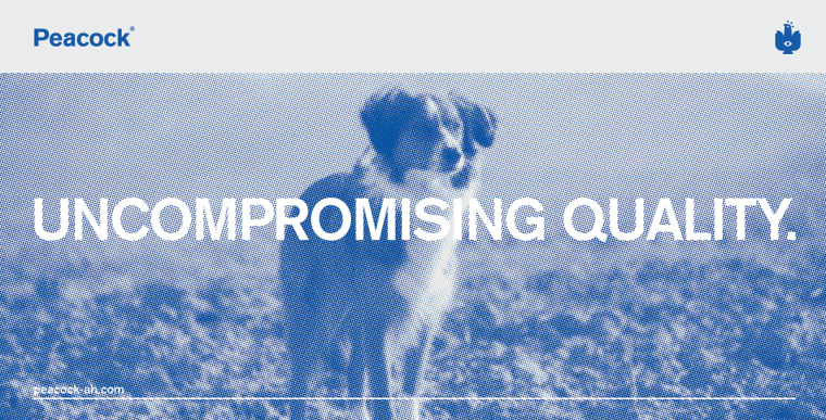 Peacock獸醫(yī)藥物品牌形象VI設(shè)計logo設(shè)計，孔雀的矢量化圖案