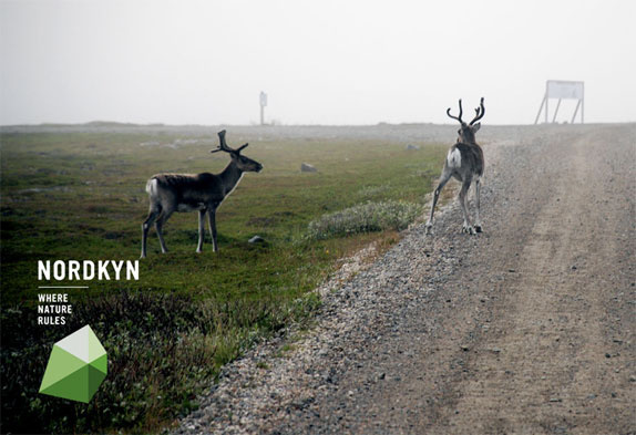 Nordkyn半島旅游品牌形象設計動態(tài)logo設計vi設計