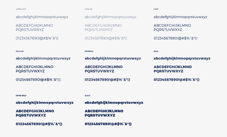 UEG戈亞斯州州立大學(xué)學(xué)校VI設(shè)計(jì)