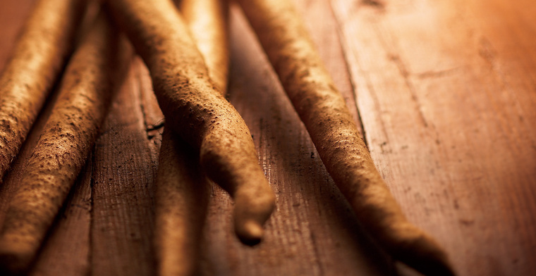 Soba 面館餐飲宣傳畫冊(cè)設(shè)計(jì)，東方日式藝術(shù)風(fēng)格