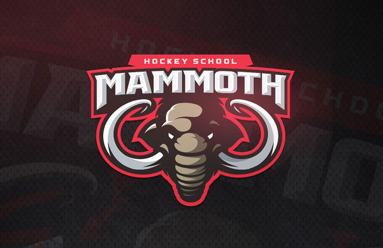 令人驚嘆的體育標(biāo)志設(shè)計(jì)理念-猛犸標(biāo)志設(shè)計(jì)