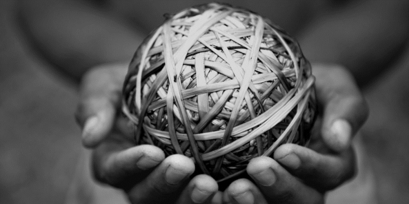 Complexas非洲生態(tài)環(huán)境監(jiān)測公司宣傳冊設(shè)計